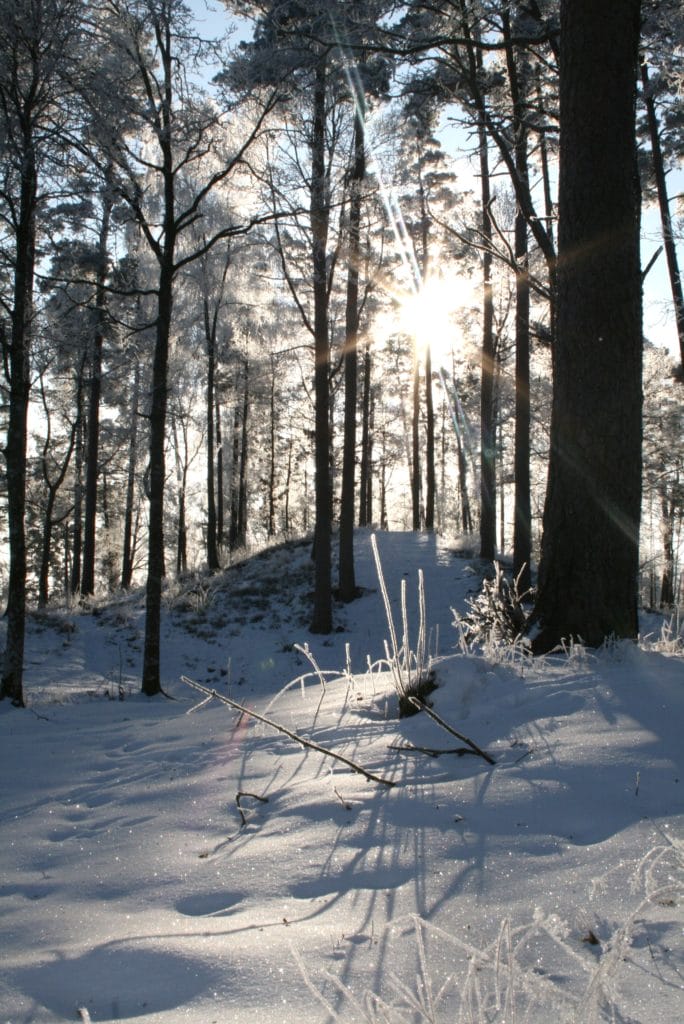 januari 2010 072