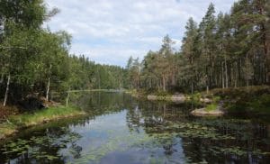 Ovissheten pandemi